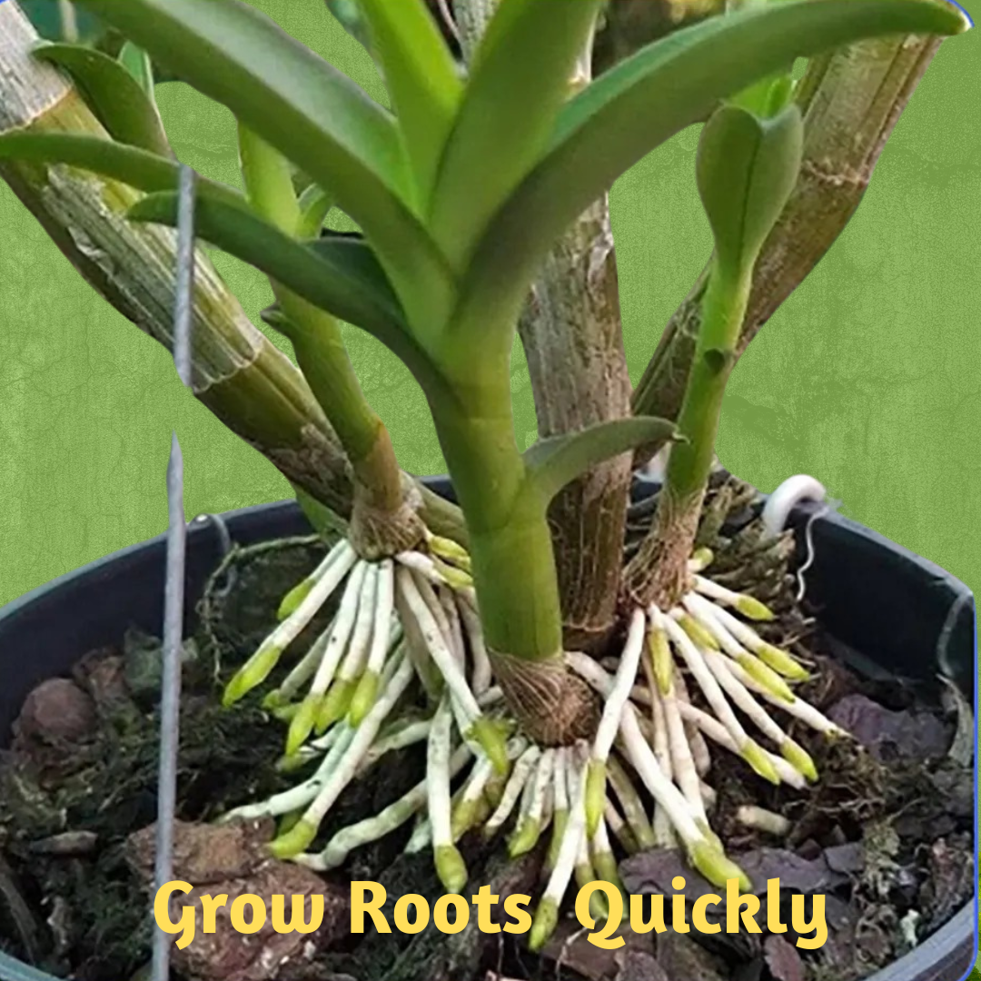 GARDEN + PRO SOIL CONDITIONER & ROOT ENHANCER and ADVANCE FOLIAR PLUS HUMATES