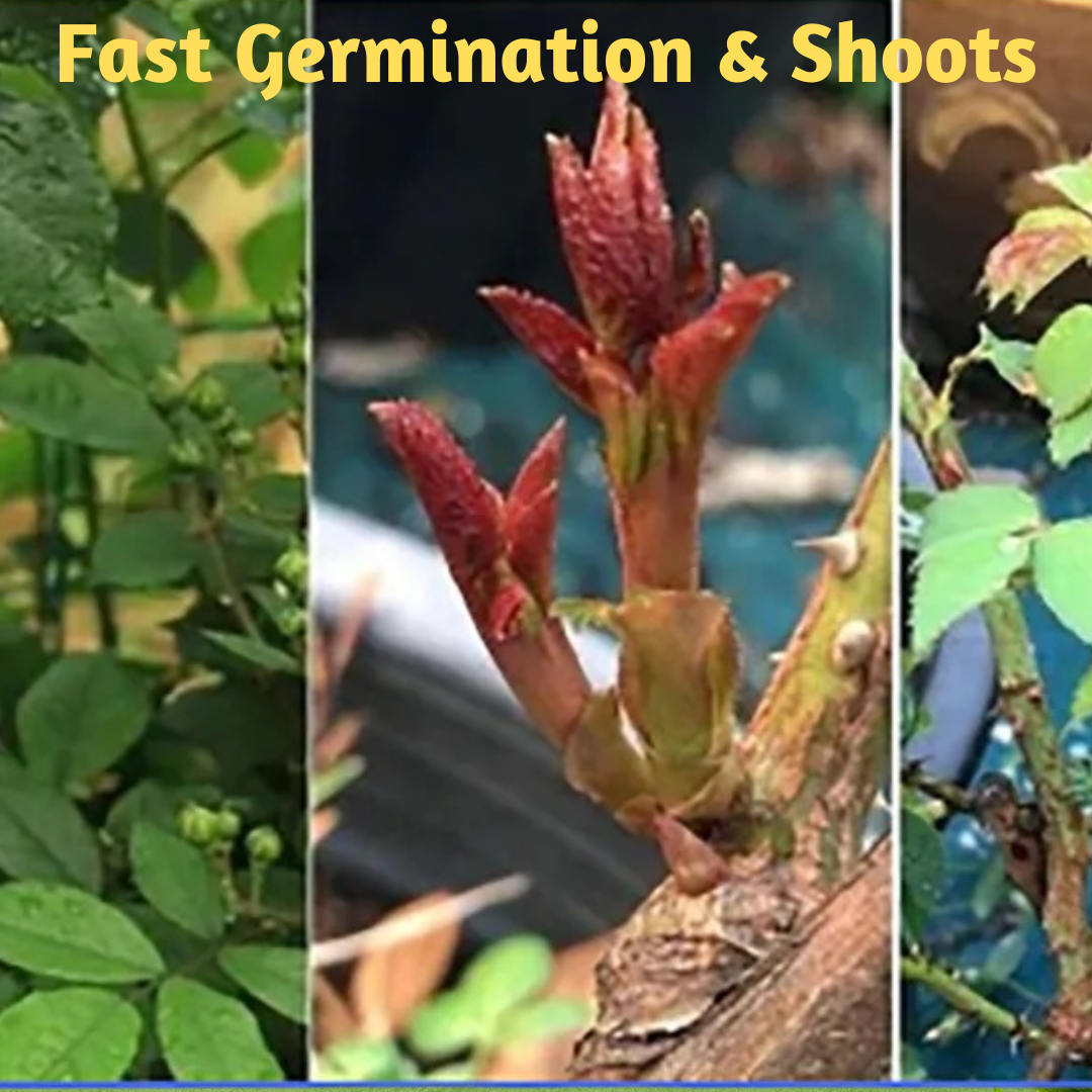 GARDEN + PRO SOIL CONDITIONER & ROOT ENHANCER and ADVANCE FOLIAR PLUS HUMATES