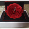 Rose Ring Box with 12k Gold plated Necklace Earring and Ring