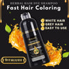 Herbal Hair Dye Shampoo by R&M Digital Trading