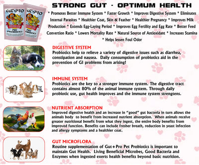 Gut+Pro Pet Probiotics