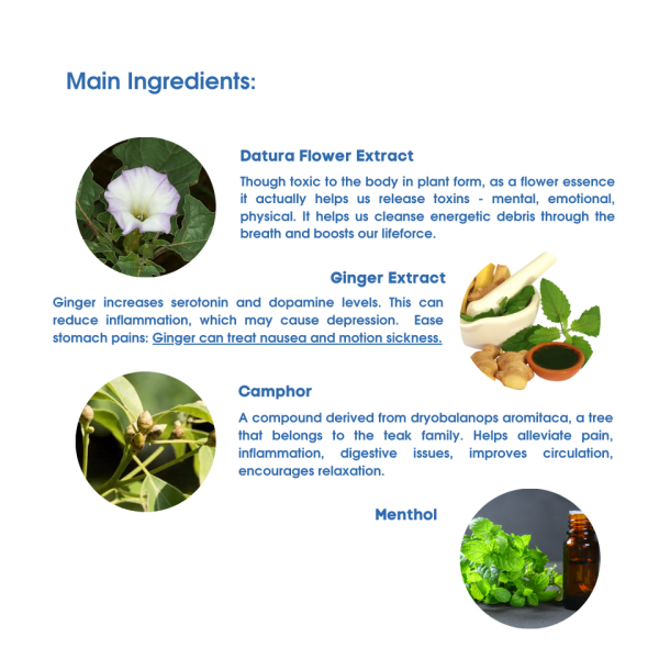 ANTI-MOTION SICKNESS PATCH (2 PATCHES PER SACHET) By Exelgo Pharm