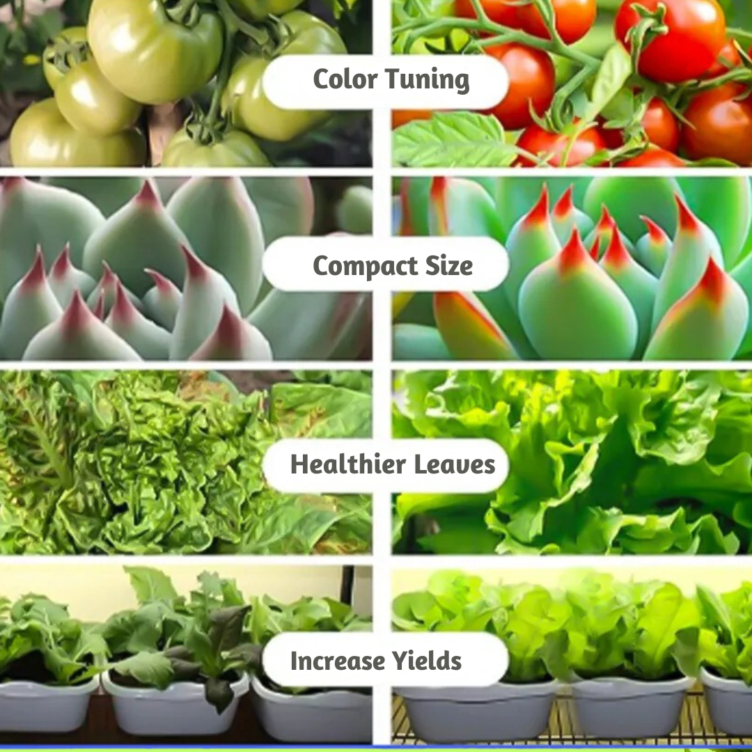 GARDEN + PRO SOIL CONDITIONER & ROOT ENHANCER and ADVANCE FOLIAR PLUS HUMATES