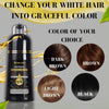 Herbal Hair Dye Shampoo by R&M Digital Trading