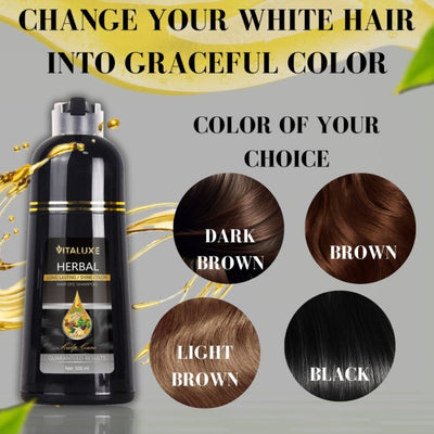 Herbal Hair Dye Shampoo by R&M Digital Trading