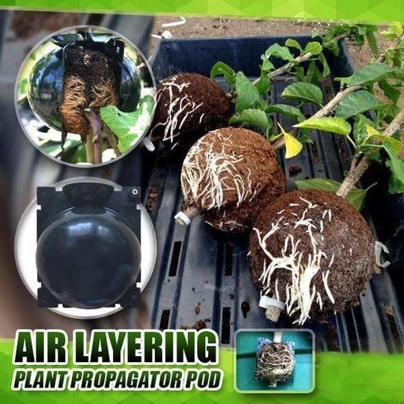 Air Layering Pod™