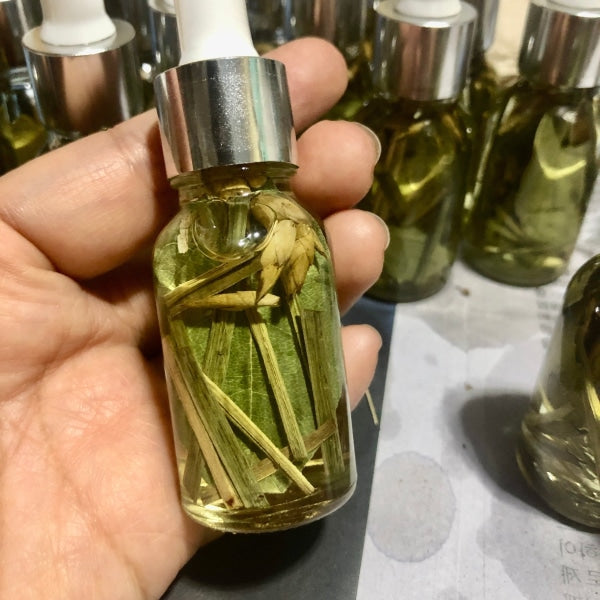 Money Magnet Herbarium Oil