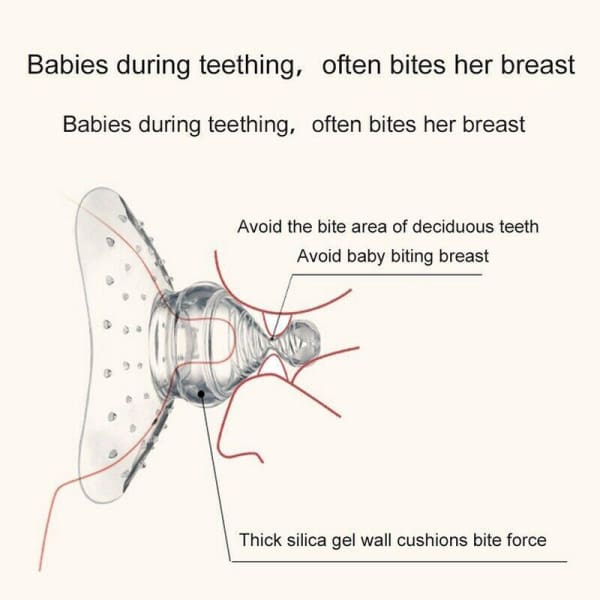 Nipple Shield