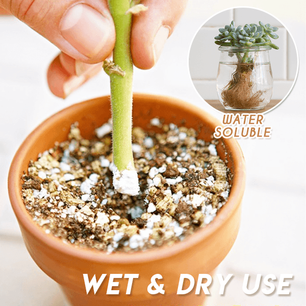 Rapid-Grow Rooting Powder