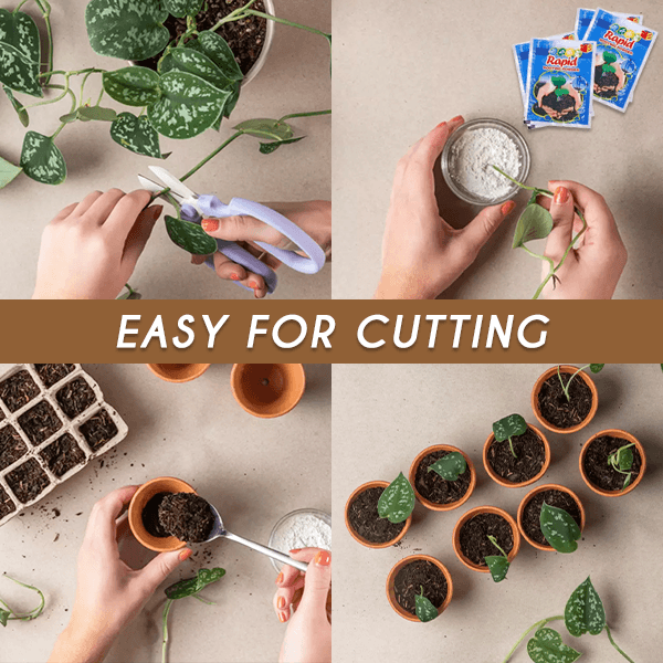 Rapid-Grow Rooting Powder