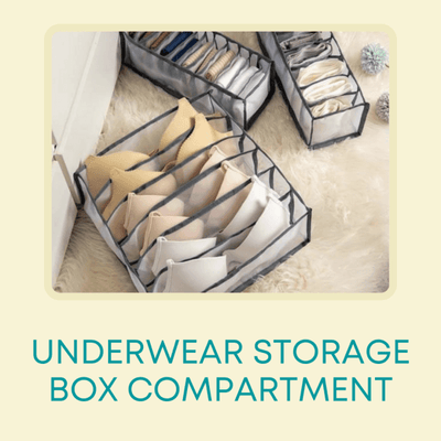 Underwear Storage Box Compartment