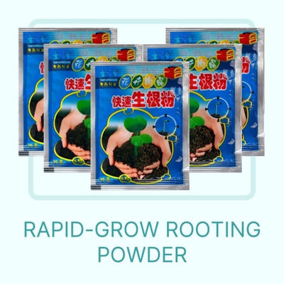 Rapid-Grow Rooting Powder (5pcs)
