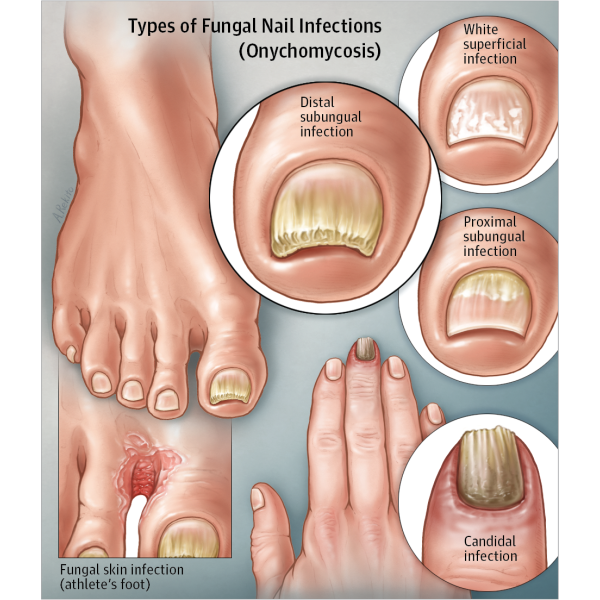 Nail Essence By Soo Yun