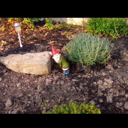 Peeing Garden Gnome