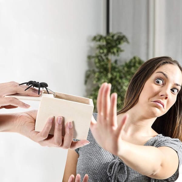 Spider Prank Scare Box
